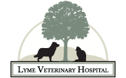 Link to Homepage of Lyme Veterinary Hospital